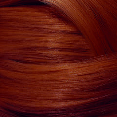 All You Need Application Bundle